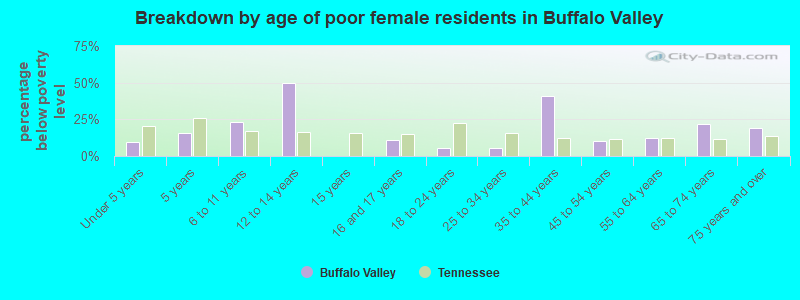 Breakdown by age of poor female residents in Buffalo Valley