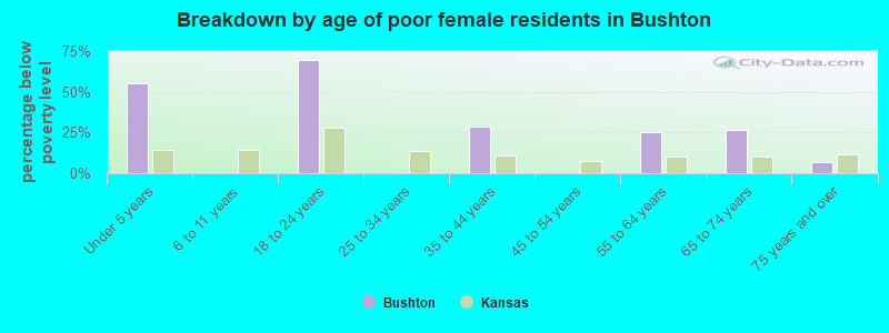Breakdown by age of poor female residents in Bushton