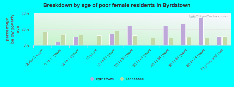 Breakdown by age of poor female residents in Byrdstown