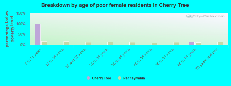 Breakdown by age of poor female residents in Cherry Tree