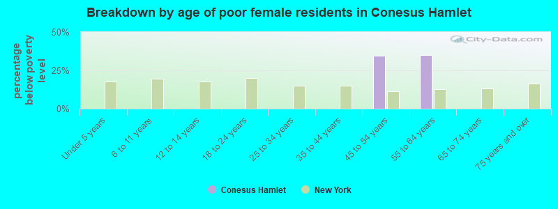 Breakdown by age of poor female residents in Conesus Hamlet