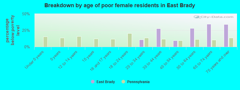 Breakdown by age of poor female residents in East Brady