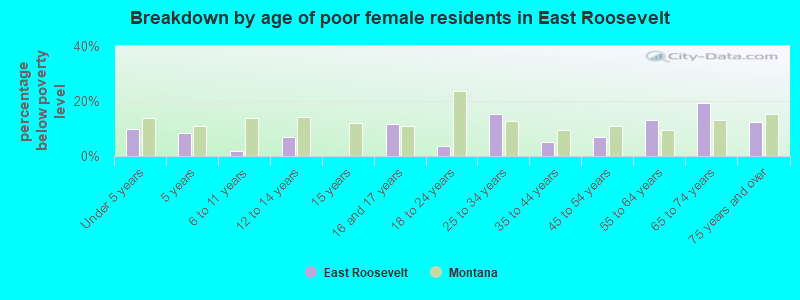 Breakdown by age of poor female residents in East Roosevelt