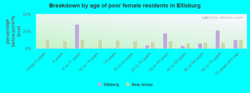 Breakdown by age of poor female residents in Ellisburg