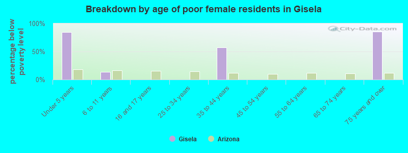 Breakdown by age of poor female residents in Gisela
