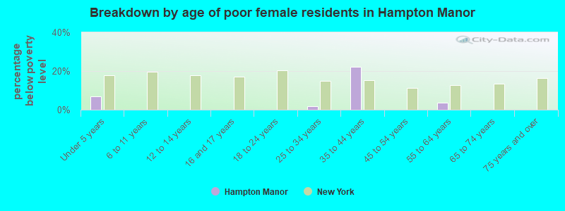 Breakdown by age of poor female residents in Hampton Manor