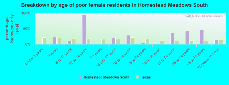 Breakdown by age of poor female residents in Homestead Meadows South