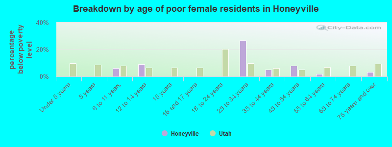 Breakdown by age of poor female residents in Honeyville
