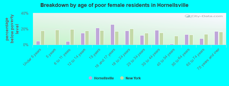 Breakdown by age of poor female residents in Hornellsville