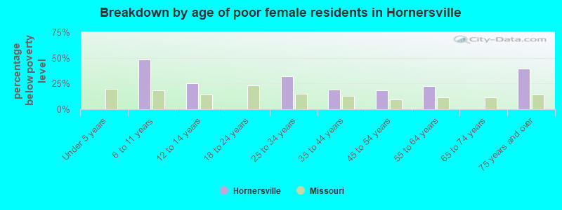 Breakdown by age of poor female residents in Hornersville