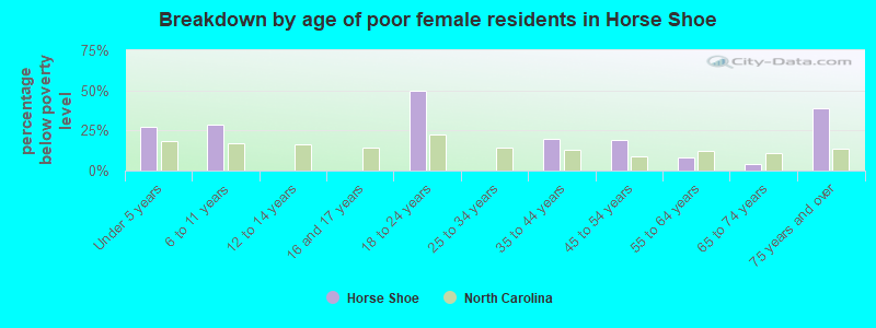 Breakdown by age of poor female residents in Horse Shoe