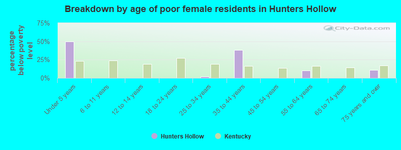Breakdown by age of poor female residents in Hunters Hollow