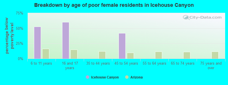 Breakdown by age of poor female residents in Icehouse Canyon