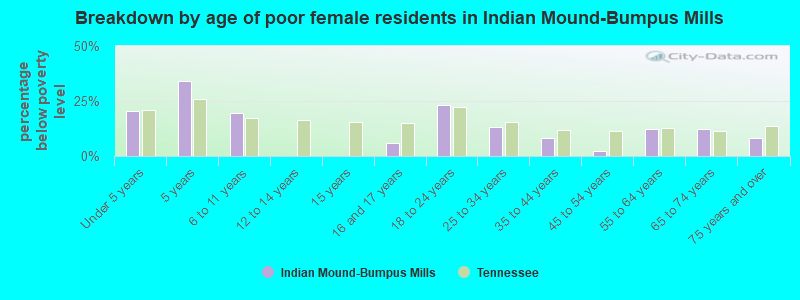 Breakdown by age of poor female residents in Indian Mound-Bumpus Mills