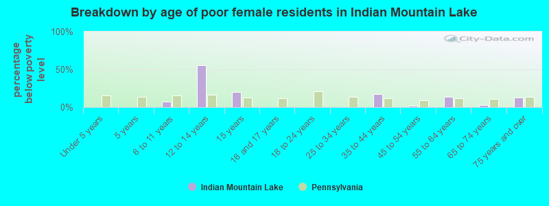 Breakdown by age of poor female residents in Indian Mountain Lake