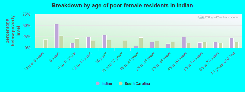 Breakdown by age of poor female residents in Indian