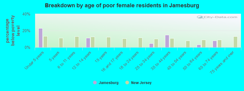 Breakdown by age of poor female residents in Jamesburg