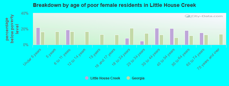Breakdown by age of poor female residents in Little House Creek