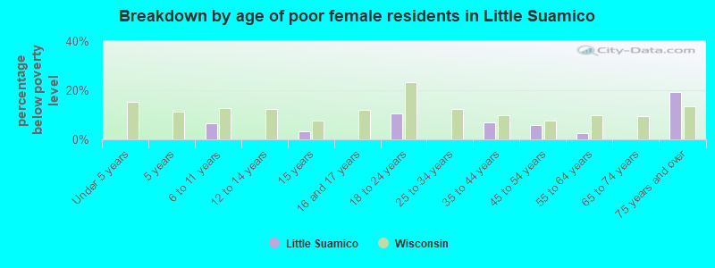 Breakdown by age of poor female residents in Little Suamico