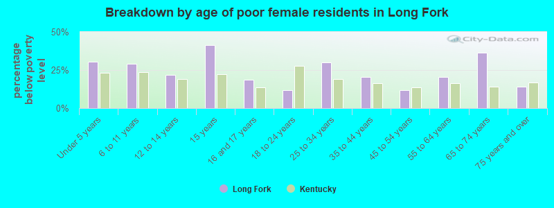 Breakdown by age of poor female residents in Long Fork