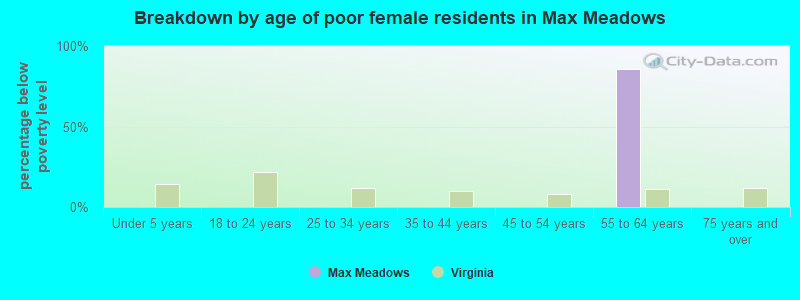Breakdown by age of poor female residents in Max Meadows