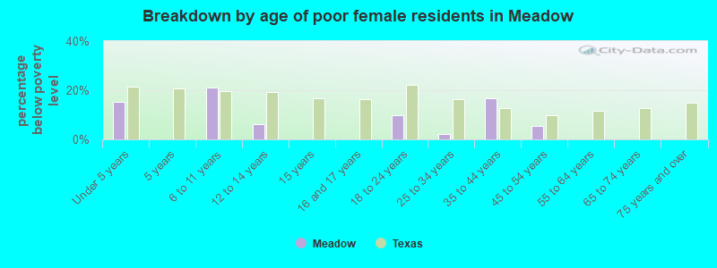 Breakdown by age of poor female residents in Meadow