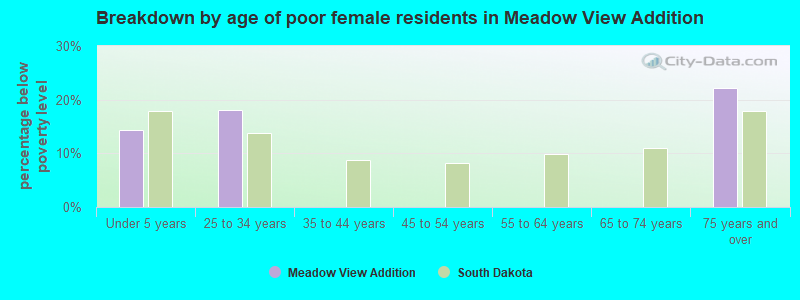 Breakdown by age of poor female residents in Meadow View Addition