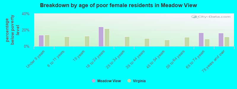 Breakdown by age of poor female residents in Meadow View