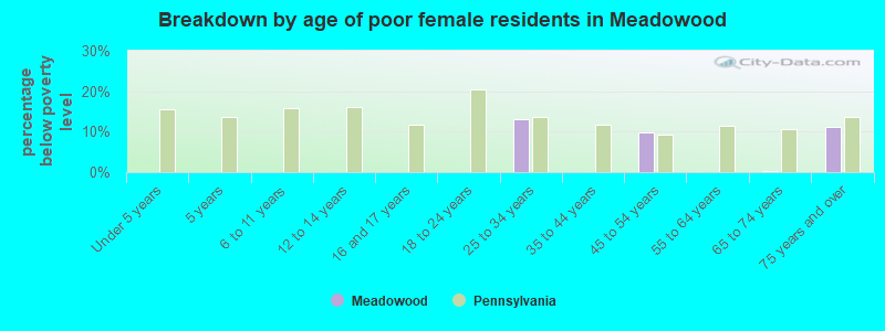 Breakdown by age of poor female residents in Meadowood