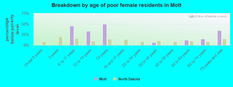 Breakdown by age of poor female residents in Mott