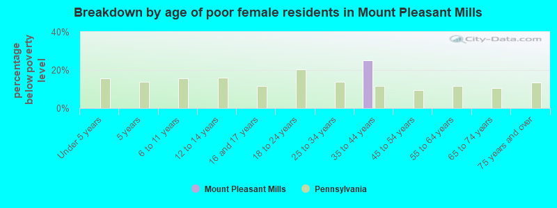 Breakdown by age of poor female residents in Mount Pleasant Mills