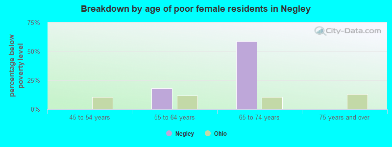 Breakdown by age of poor female residents in Negley