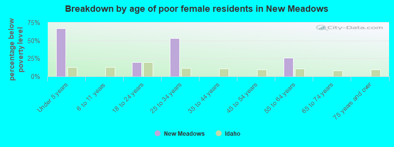 Breakdown by age of poor female residents in New Meadows
