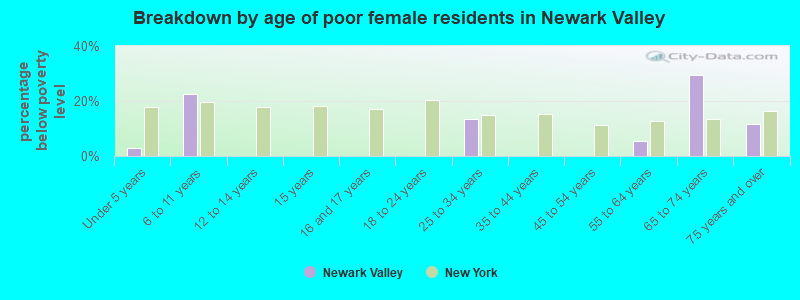 Breakdown by age of poor female residents in Newark Valley