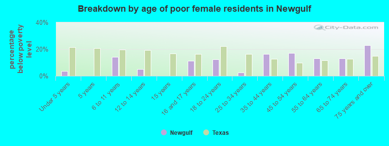 Breakdown by age of poor female residents in Newgulf