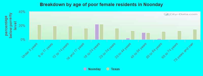 Breakdown by age of poor female residents in Noonday