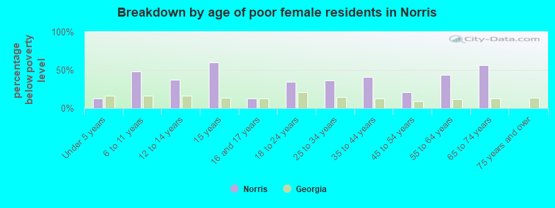 Breakdown by age of poor female residents in Norris