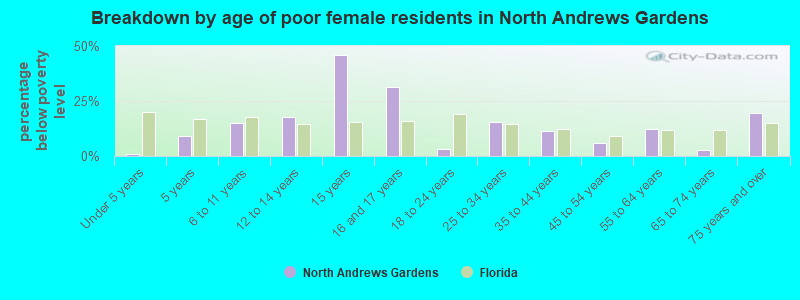 Breakdown by age of poor female residents in North Andrews Gardens
