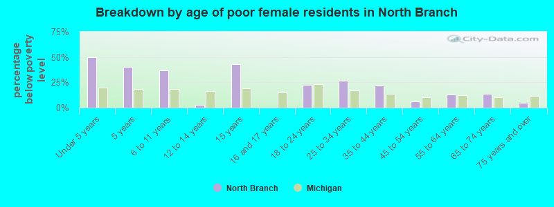 Breakdown by age of poor female residents in North Branch