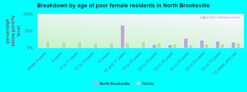 Breakdown by age of poor female residents in North Brooksville