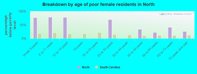 Breakdown by age of poor female residents in North