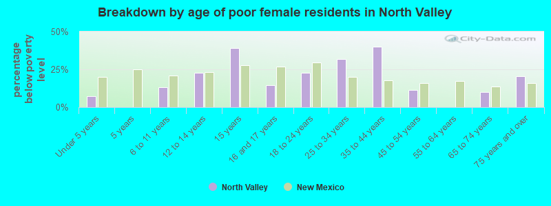 Breakdown by age of poor female residents in North Valley