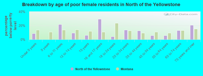 Breakdown by age of poor female residents in North of the Yellowstone