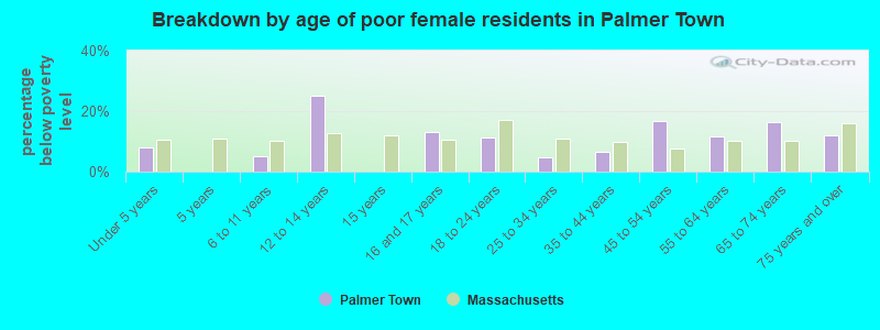 Breakdown by age of poor female residents in Palmer Town