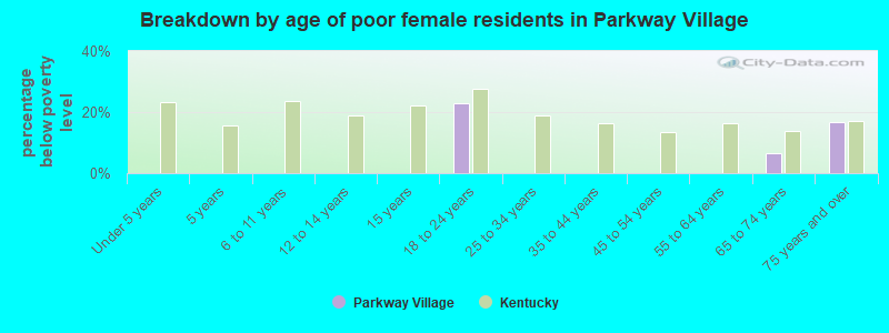 Breakdown by age of poor female residents in Parkway Village