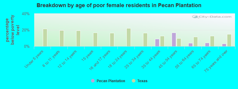 Breakdown by age of poor female residents in Pecan Plantation