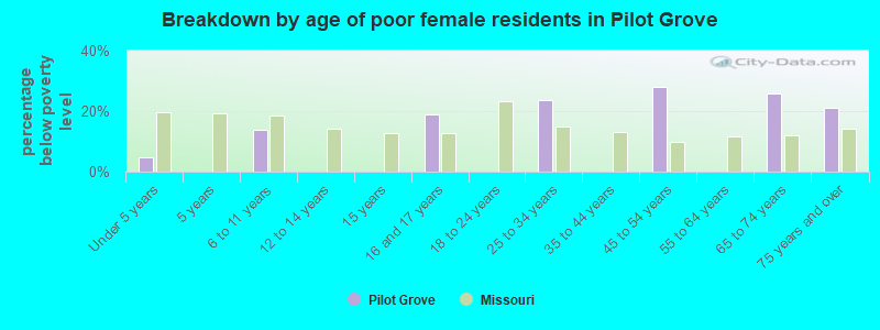 Breakdown by age of poor female residents in Pilot Grove