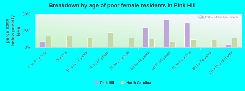 Breakdown by age of poor female residents in Pink Hill