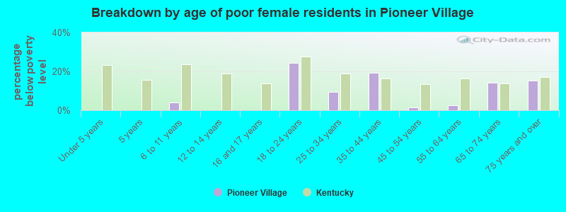 Breakdown by age of poor female residents in Pioneer Village