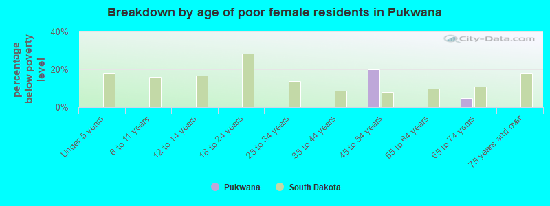 Breakdown by age of poor female residents in Pukwana